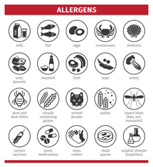 Major allergens. What causes allergies. Template for use in medical agitation. Triggers for the development of bronchial asthma. Vector illustration, flat icons.