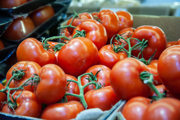 red tomatoes in the store