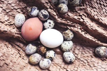 Obraz premium chicken and quail eggs in a nest on brown background, family concept, selective focus