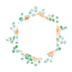 Peach and Orange Watercolor Rose Flower Frame Background with English Rose Austin and Eucalyptus