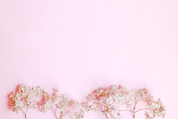 Composition of dried flowers on pink background. Copy space. top view. selective focus.