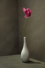 Pink tulip in white vase in empty grey room.