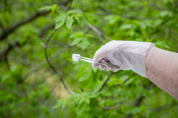 Doctor's hand in a rubber glove for medical manipulations. Green leaf background