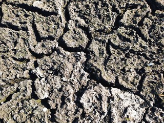 Dry land with large cracks