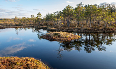 Nice landscape with evening and sunset over the bog lake, crystal clear lake and peat island in the...