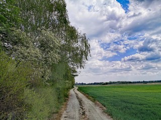 Tiere; Natur; Landschaft; Landwirtschaft; See; Bach; Weiher; Blumen; 