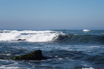 A calm and peaceful landscape. Beautiful nautical scene in blue tones. An ideal place to enjoy the sea view. Seagulls fly over ocean waves.