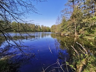 Tiere; Katze; See, Weiher; Landschaft; Landwirtschaft; 