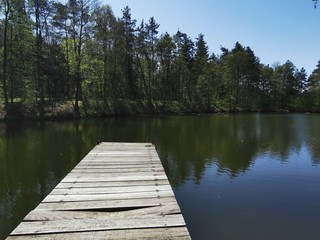 Tiere; Katze; See, Weiher; Landschaft; Landwirtschaft; 