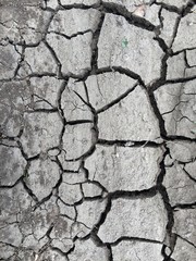 dry cracked earth