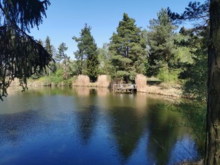 Tiere; Katze; See, Weiher; Landschaft; Landwirtschaft; 