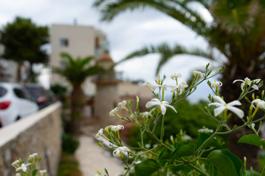 Las casetas del Garraf in Sitges, Barcelona, Catalonia