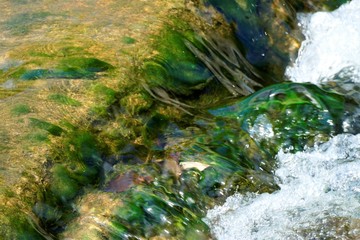 Creek and waterfalls with green grass in nature