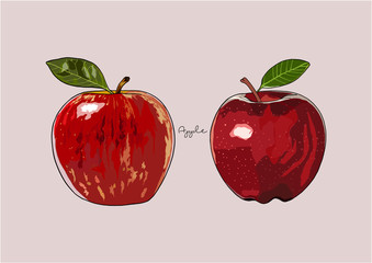 Vector Illustration of Red Apple