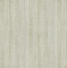 Natural Wood Surface Texture