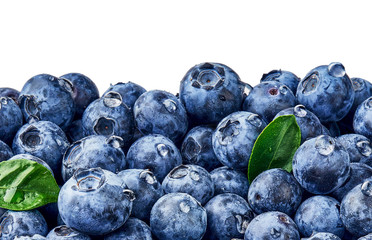 Close up of blueberries. Blueberry leaves with berries and drops. Top view. Concept of healthy and dieting eating. Blue texture of blueberries background.