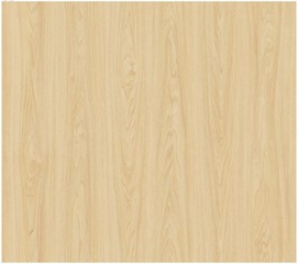 Fototapeta premium Natural Wood Surface Texture