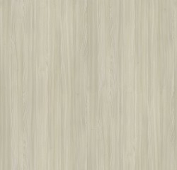 Natural Wood Surface Texture