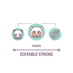 Wildlife concept icon. Raccoon in conservation. Carnivore feline. Countryside danger. Wild animals idea thin line illustration. Vector isolated outline RGB color drawing. Editable stroke
