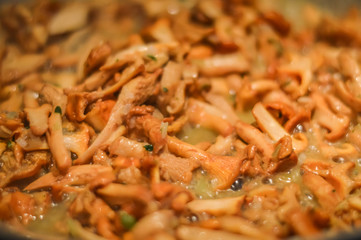cooking chanterelle mushrooms close up