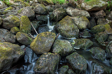 Stream in the nature	