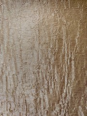 old wood texture