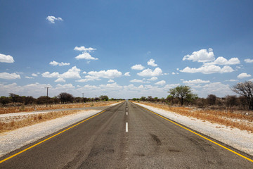 Long tar paved road through arid dry landscape to infinity. C38 road to Etosha national park, Namibia, Africa