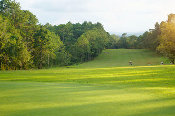 Beautiful golf course in a sunny day.