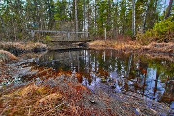 Obraz premium Creek at the Store Mosse National Park, Sweden