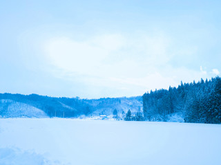 Fototapeta premium 豪雪 