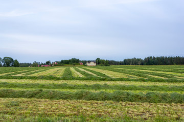 Fototapeta na wymiar Panorama of farmlands in Forsheda, Småland, Sweden