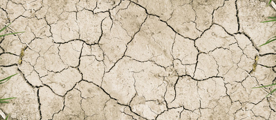 dry mud desert. Banner background texture