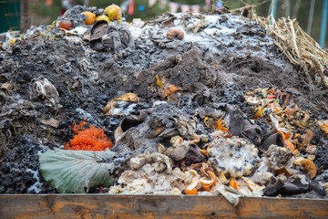 food culture concept. delicacy delicious expensive red caviar close-up in a heap of compost waste...