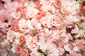 texture of Beautiful floral background with tender flowers.close up