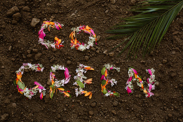 Go Green Text aus Blütenblättern und Blättern mit Palmenwedel 