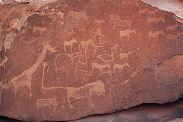 Bushman engravings at Twyfelfontein, UNESCO World Heritage site, Damaraland, Kuene Region, Namibia