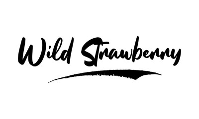 Wild Strawberry Phrase Saying Quote Text or Lettering. Vector Script and Cursive Handwritten Typography 
For Designs Brochures Banner Flyers and T-Shirts.