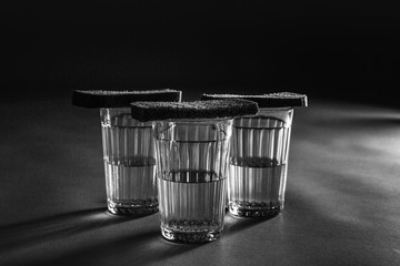 Glass of vodka with bread 28