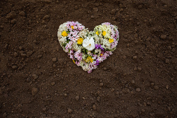 Herz Symbol aus Blumen auf Erde Hintergrund