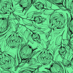 Pattern with protea flower. manual graphics. Stylish floral pattern with dried flowers, African protea flower. For wallpaper, textile, home decor, packaging. stock graphics. isolate