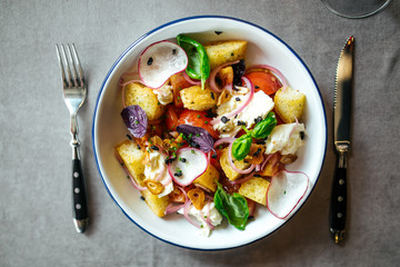 Gourmet salad with radish crackers and cheese