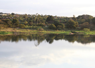 Fototapeta na wymiar Lago refletindo a paisagem na água.