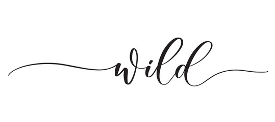 Wild -  typography lettering quote, brush calligraphy banner with  thin line.