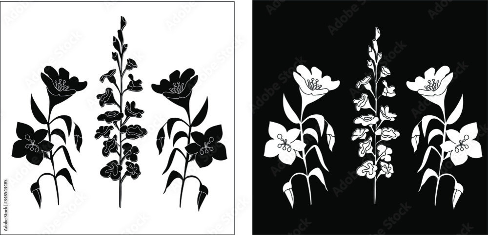 Wall mural Set of cards with the silhouette of wildflowers. Botanical illustration. Variations with a black and white background and outline. For the design of postcards, stickers and other printing. Vector illu