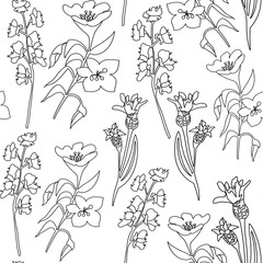 Fototapeta premium Botanical illustration of wildflowers. Seamless pattern. Line art, pen on a white background. vector illustration