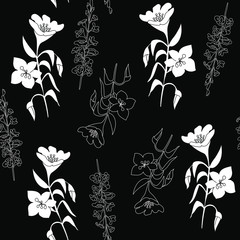 Botanical illustration of wildflowers. Seamless pattern. Line art, pen.white flowers and contours on a black background. vector illustration