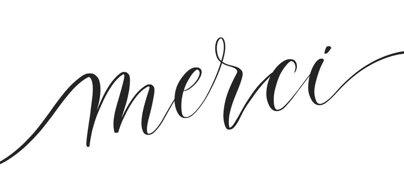 Merci -  typography lettering quote, brush calligraphy banner with  thin line.