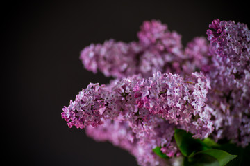 Obraz premium bouquet of beautiful spring flowers of lilac on the table