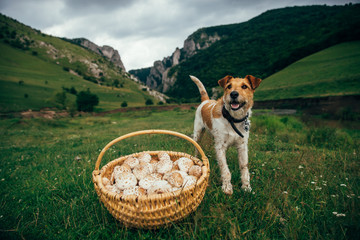 Fototapety na wymiar - Fototapeta24.pl