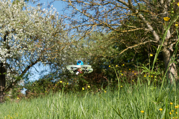 Small and blue drone with white protective bar, hovers safely over the buttercup field, behind it real walnut tree and apple treeNuertingen, Germany